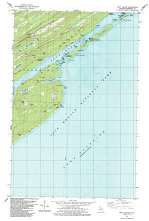 Mott Island USGS topographic map 48088a5