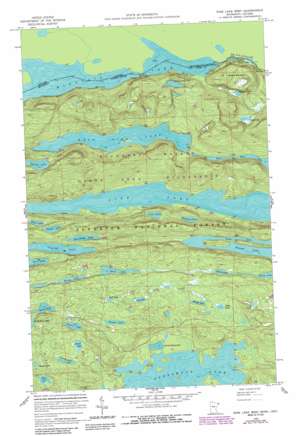 Pine Lake West USGS topographic map 48090a2