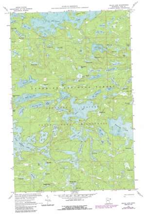 Gillis Lake USGS topographic map 48090a8