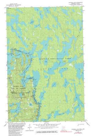 Jackfish Lake USGS topographic map 48091b6