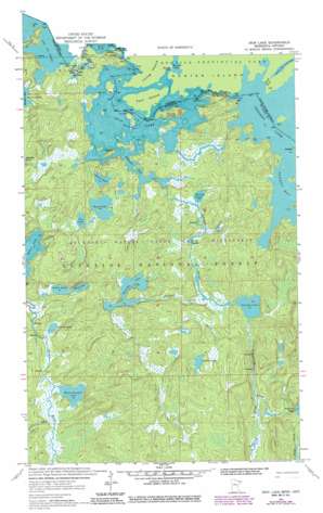 Iron Lake USGS topographic map 48091b8