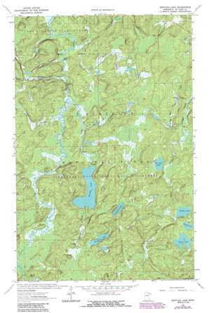 Bootleg Lake topo map
