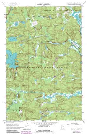 Elephant Lake USGS topographic map 48092b6