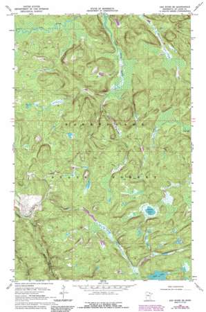 Ash River SE USGS topographic map 48092c7