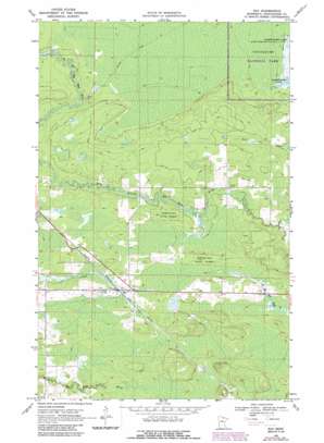 Ray USGS topographic map 48093d2