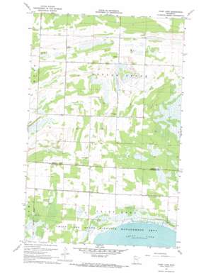 Thief Lake USGS topographic map 48095e8