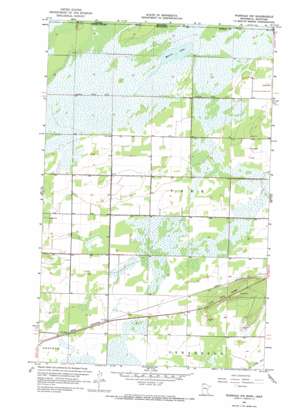 Warroad Nw topo map