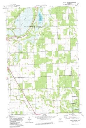 Twistal Swamp USGS topographic map 48096e4