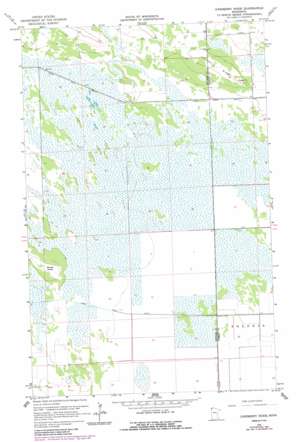 Juneberry Ridge USGS topographic map 48096g4