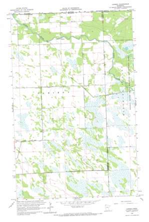Caribou USGS topographic map 48096h4