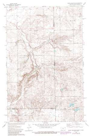 Brush Mountain USGS topographic map 48104d1