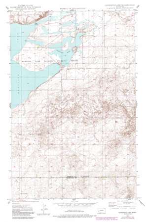 Capeneys Lake USGS topographic map 48104d3
