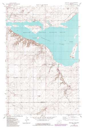Medicine Lake USGS topographic map 48104d4