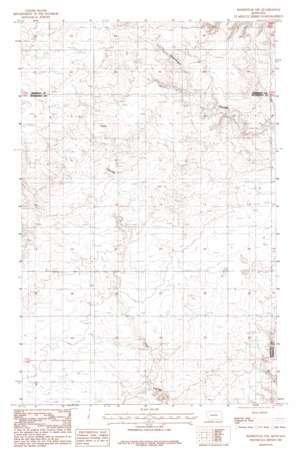 Homestead Nw topo map