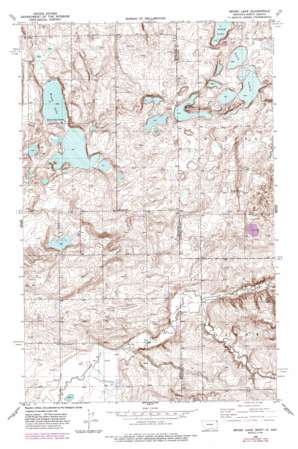 Brush Lake USGS topographic map 48104e1
