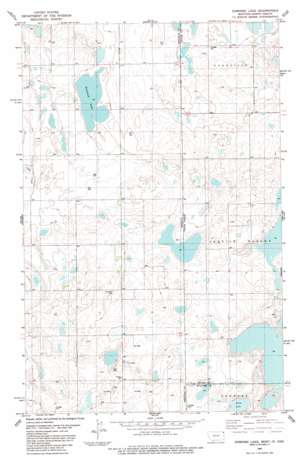 Dominek Lake USGS topographic map 48104f1