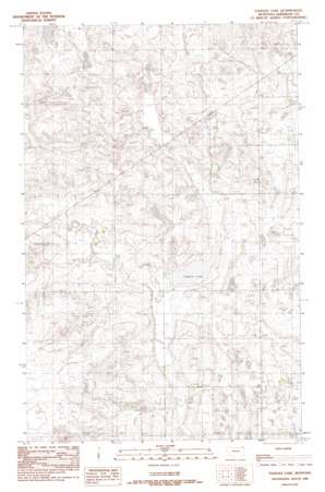 Tadpole Lake USGS topographic map 48104g2