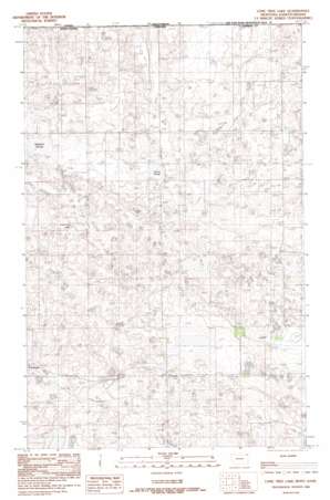 Lone Tree Lake USGS topographic map 48104h2