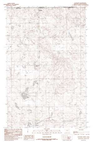 Raymond USGS topographic map 48104h5
