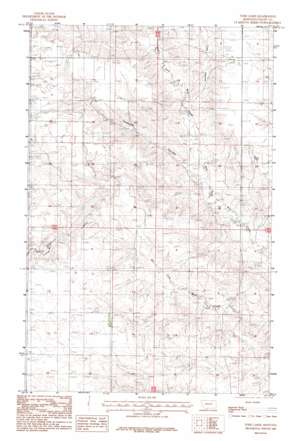 Todd Lakes USGS topographic map 48105c8