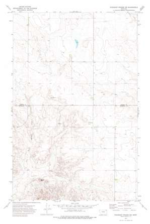 Pleasant Prairie Sw topo map