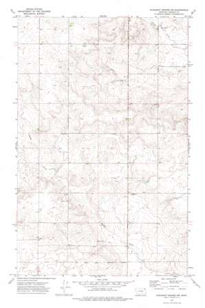 Pleasant Prairie Nw topo map