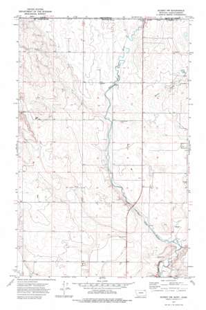 Scobey Nw topo map