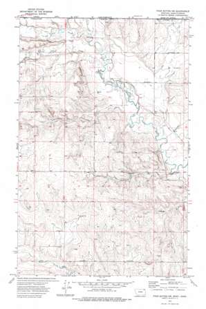 Four Buttes NW USGS topographic map 48105h6
