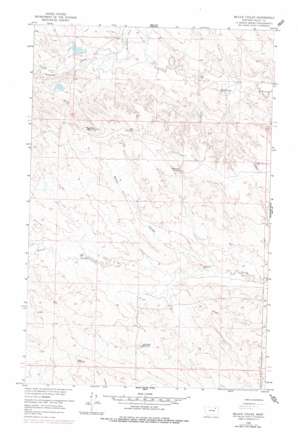 Billick Coulee USGS topographic map 48106b8