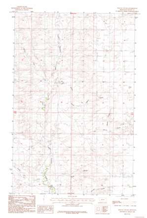 Hauck Coulee topo map
