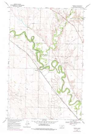 Tampico USGS topographic map 48106c7