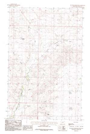 Bullhead Reservoir USGS topographic map 48106d3