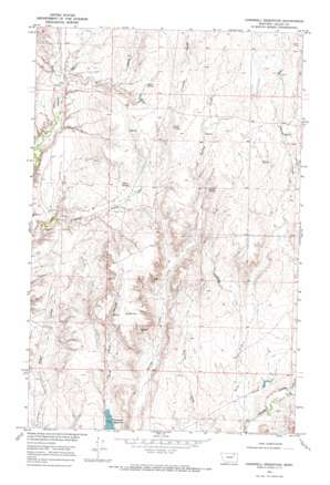 Cornwell Reservoir USGS topographic map 48106d6
