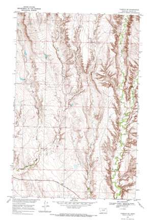 Tampico NE USGS topographic map 48106d7