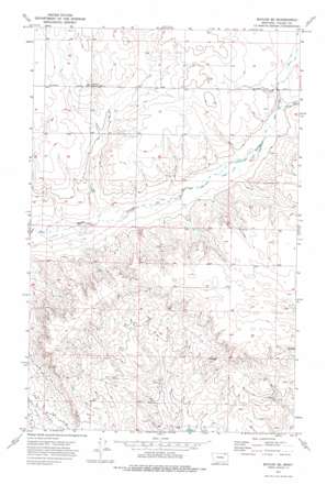 Baylor SE USGS topographic map 48106e3