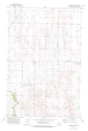 Cameron Point USGS topographic map 48106e4