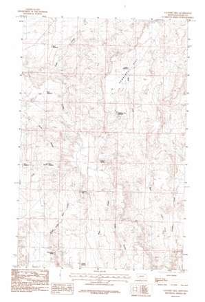 Laundry Hill USGS topographic map 48106e7
