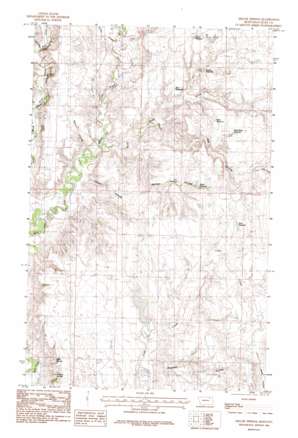 Miller Springs USGS topographic map 48106e8