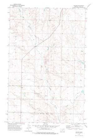 Baylor USGS topographic map 48106f4