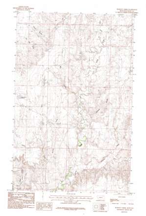 Burnett Creek USGS topographic map 48106f8