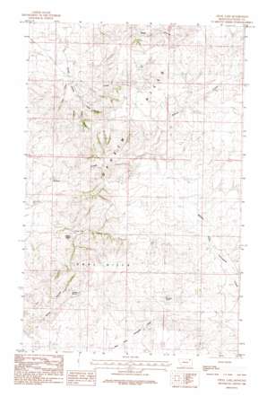 O'Juel Lake USGS topographic map 48106g5