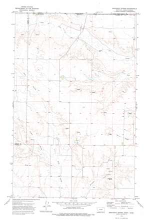 Brockway Spring USGS topographic map 48106h1
