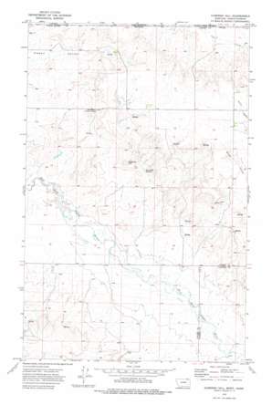 Kaminski Hill USGS topographic map 48106h2