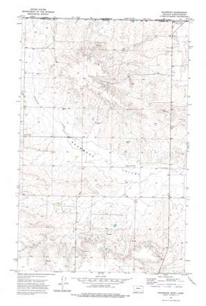 Roanwood USGS topographic map 48106h4