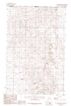 Coal Mine Creek East USGS topographic map 48106h5