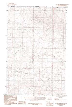 Coal Mine Creek West USGS topographic map 48106h6