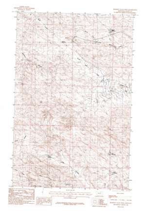 Burnett Flats West USGS topographic map 48107a2
