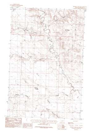 Bennett Lake NW USGS topographic map 48107b8