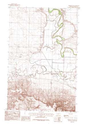 Hinsdale Nw USGS topographic map 48107d2