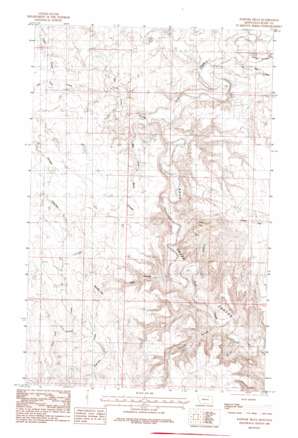 Papoose Hills topo map